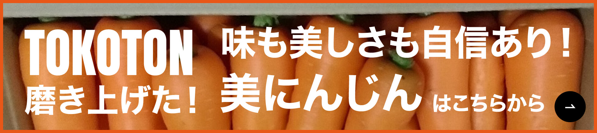 TOKOTON磨き上げた！味も美しさも自信あり！美にんじんはこちらから